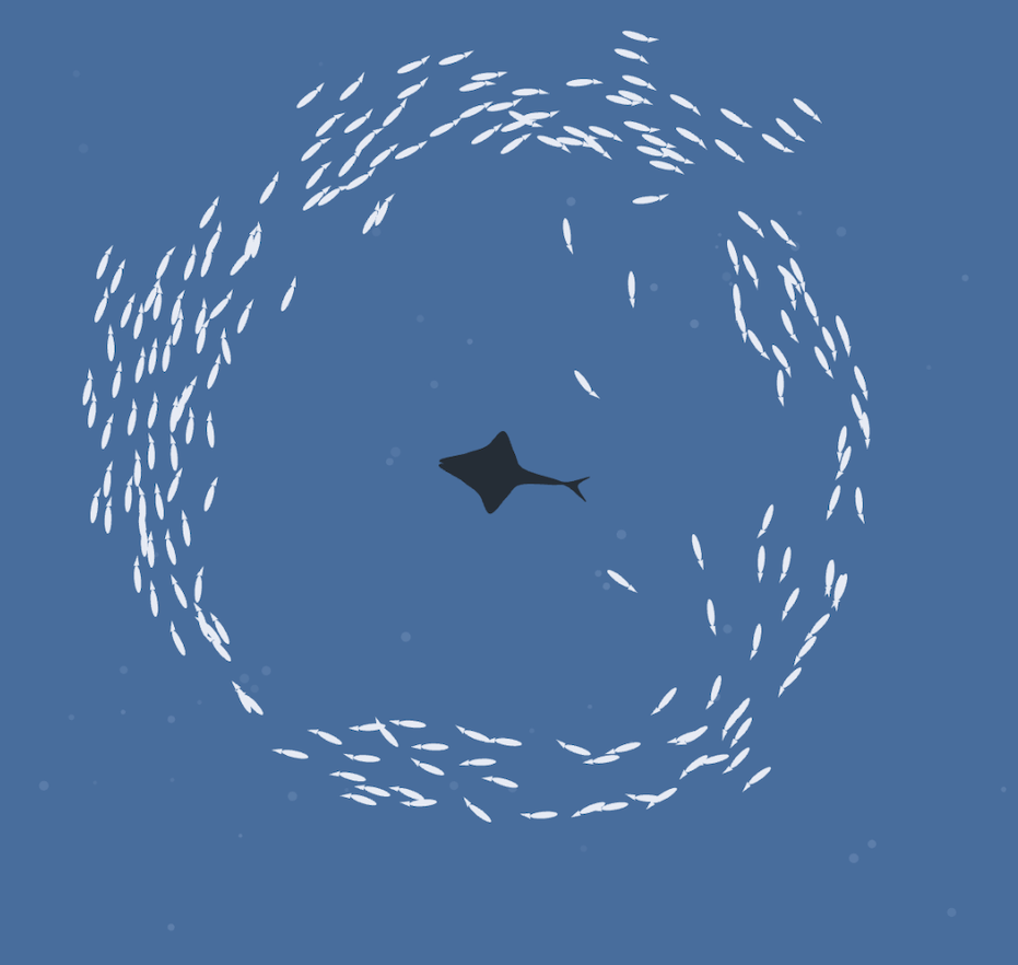 fish in the sea